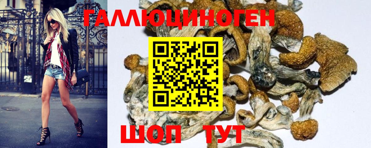 Галлюциногенные грибы Magic Shrooms Арсеньев