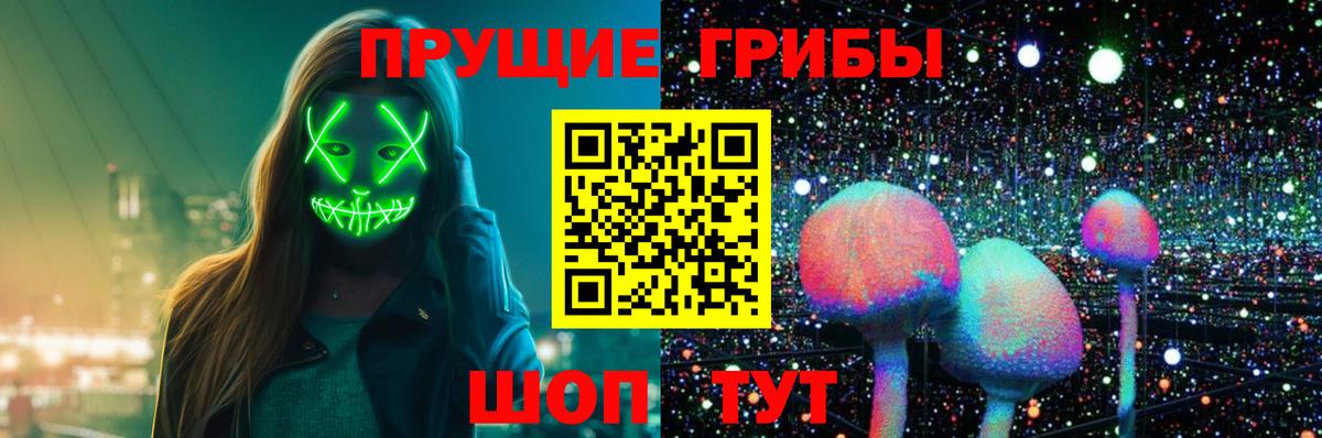 как найти   Псилоцибиновые грибы Cubensis  Вход с VPN  Арсеньев 